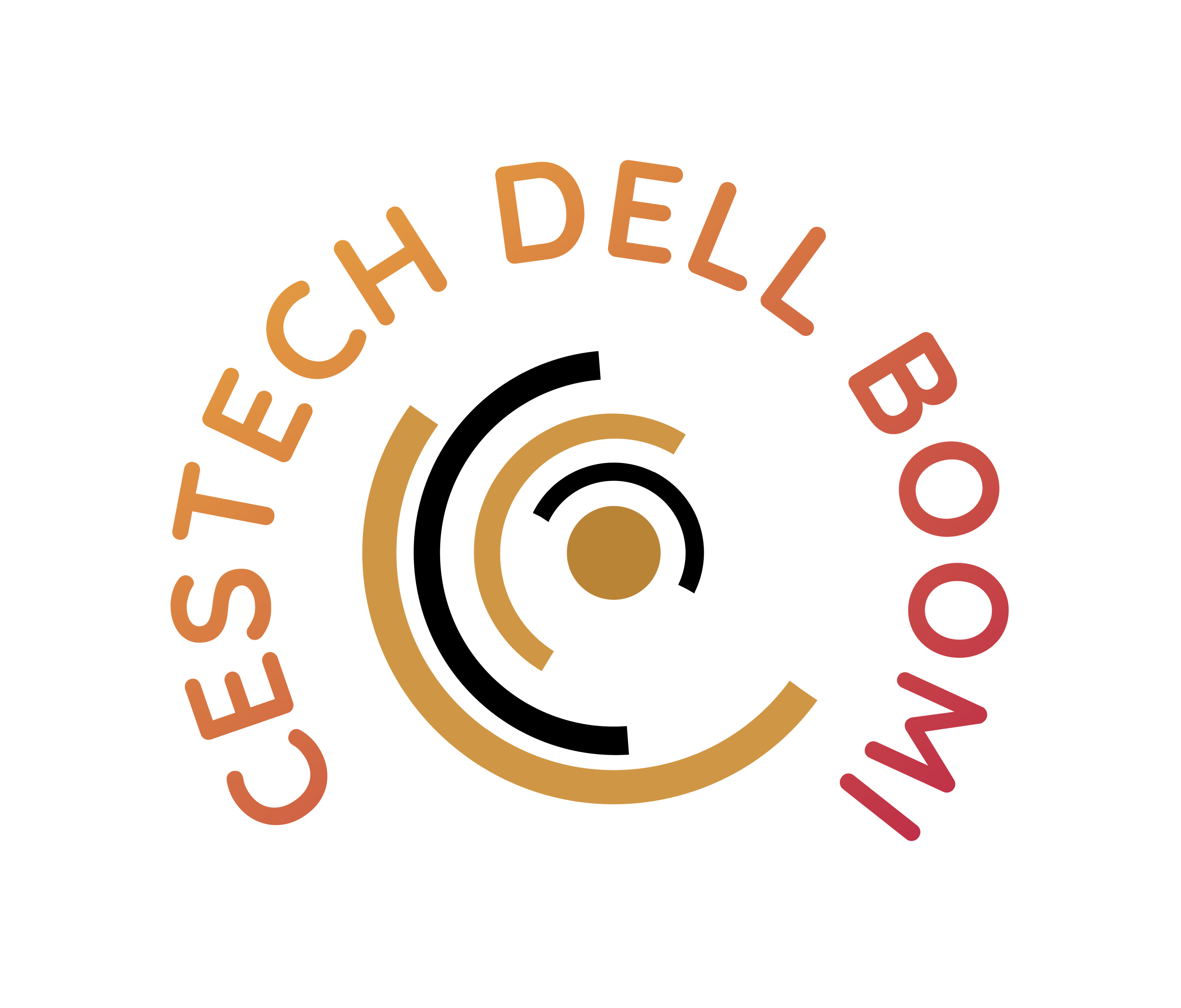CESTECH BELL-BOOMI FRANCE